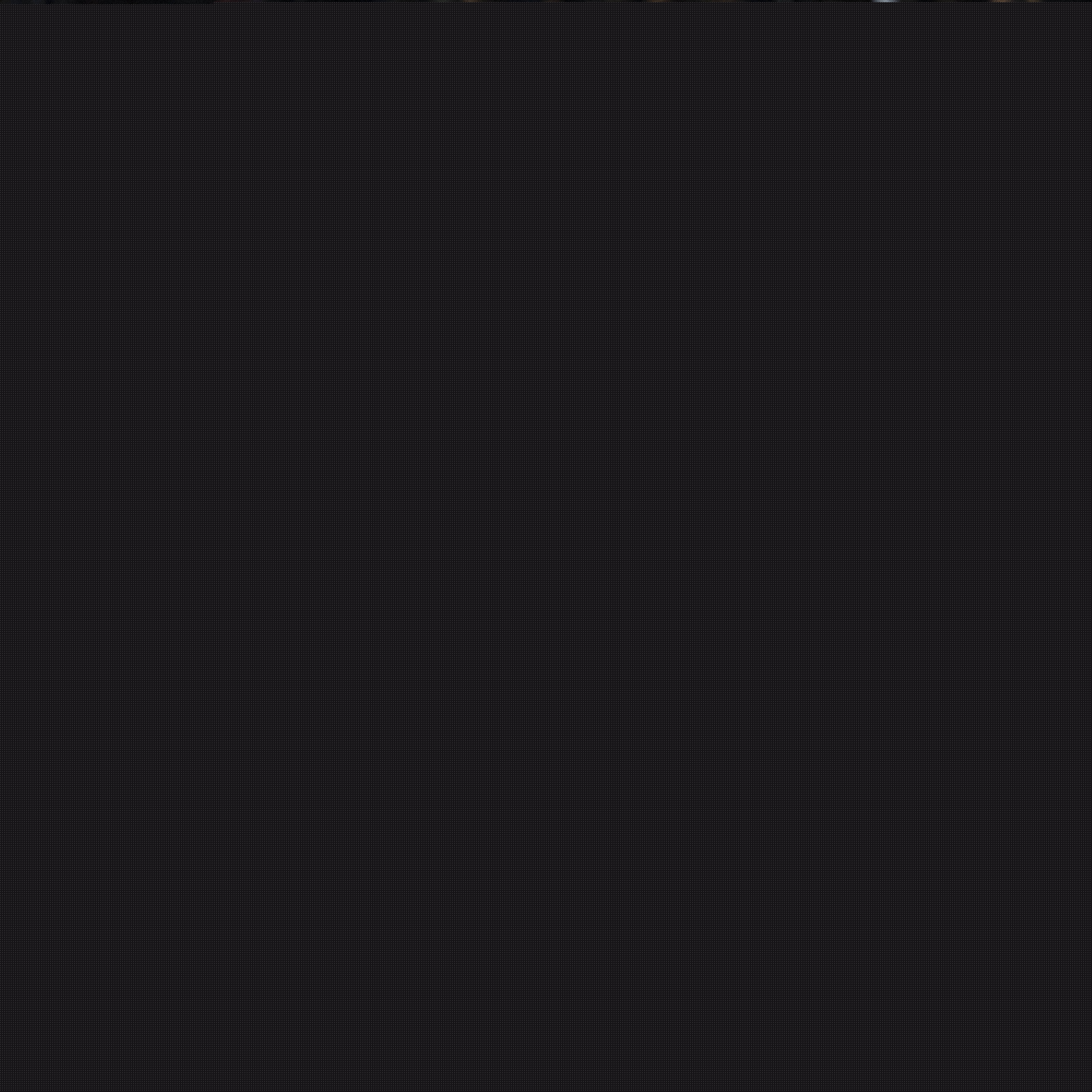 熱愛國家的